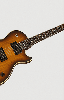 Custom Guitars
